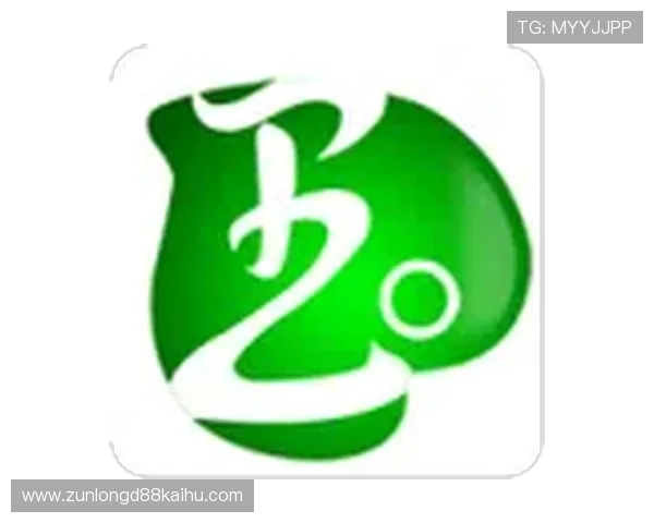 尊龙集团网页版登录入口全面指南，轻松实现账号安全快速登录