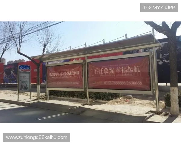 全面解析d88尊龙官方网的注册流程与账号安全保障措施