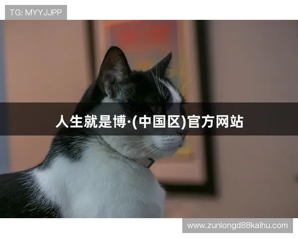 尊龙app人生就是博：提升游戏技巧打造属于你的精彩人生体验