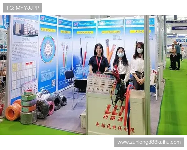 凯时网站登录入口最新官方入口地址及安全登录指南推荐